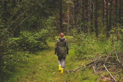 Rear view of man in forest