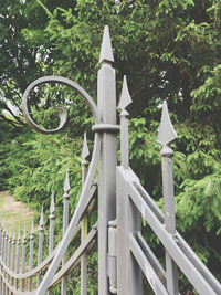 Metal gate against trees