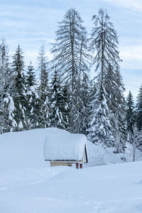 Scenic view of snow covered field and trees against sky