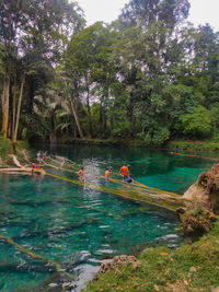 People in river against trees in forest