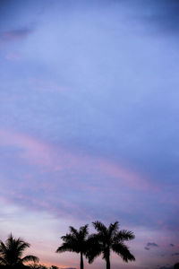 Low angle view of silhouette palm trees against sky at sunset