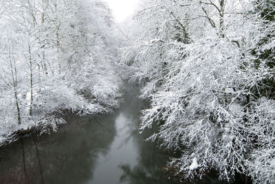 Scenic view of waterfall in forest during winter