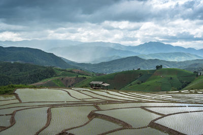 Scenic view of agricultural field against sky