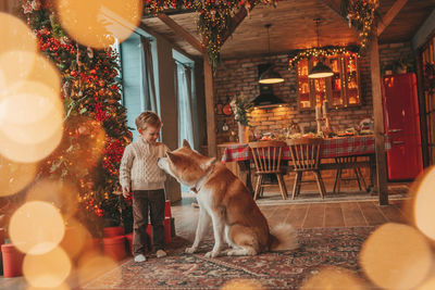 Candid authentic happy little boy in knitted beige sweater hugs dog with bow tie at home on xmas