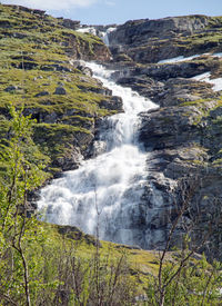 Scenic view of waterfall in forest