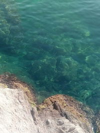 High angle view of rocks in sea