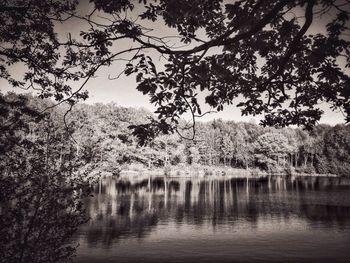 Scenic view of lake with trees in background