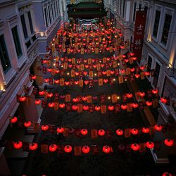 View of christmas tree