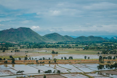 Scenic view of agricultural field against sky