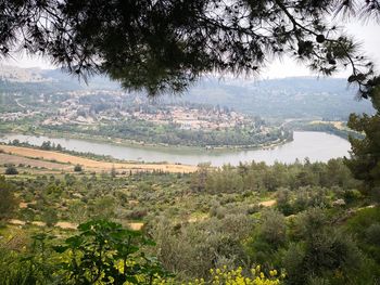 Scenic view of lake and trees against sky