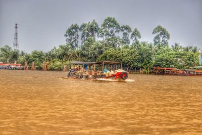 View of people in boat against trees