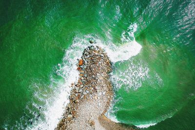 High angle view of waves splashing on rocks