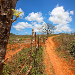 Scenic view of landscape against blue sky