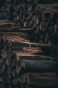 Stack of logs in forest