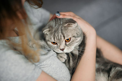 Cat with gray fur and yellow eyes sitting on people hugs