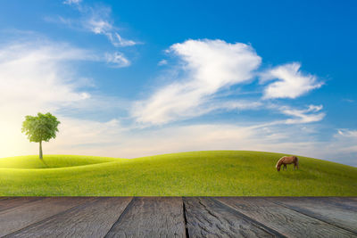 Scenic view of land against sky