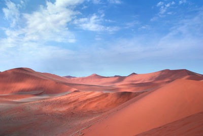 View of a desert