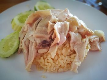 Close-up of meal served in plate