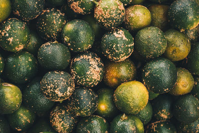 Full frame shot of blueberries