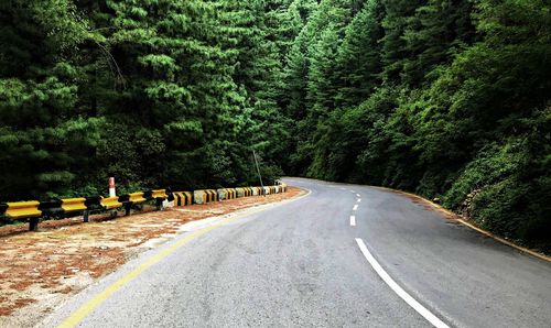 Road amidst trees in forest