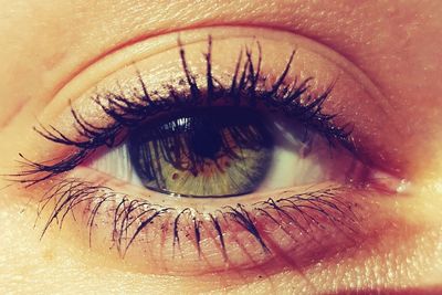 Close-up portrait of human eye