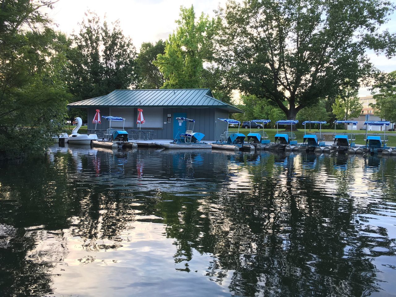 Paddle Boats @ Julia Davis Park