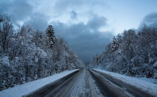 Road amidst trees against sky during winter