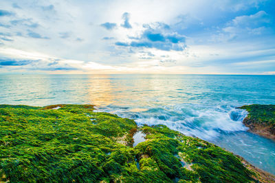 Scenic view of sea against sky