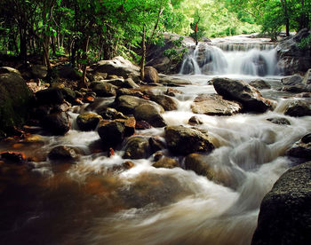 River flowing through forest