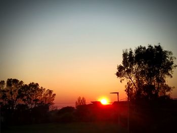 Silhouette trees against clear sky during sunset