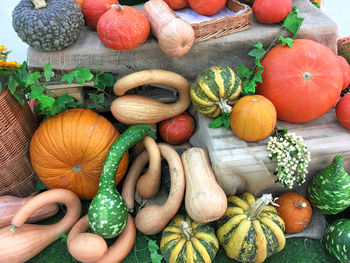 High angle view of pumpkins