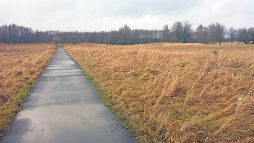 Dirt road amidst field against sky
