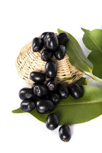 High angle view of black berries on white background