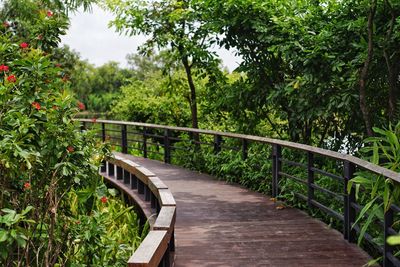 Footbridge amidst trees