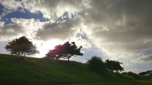 Scenic view of grassy field against cloudy sky