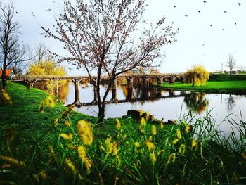 Scenic view of lake against sky