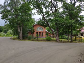 Road by trees and buildings in city