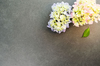 High angle view of flower bouquet