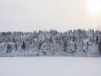 Trees on snow covered field against sky