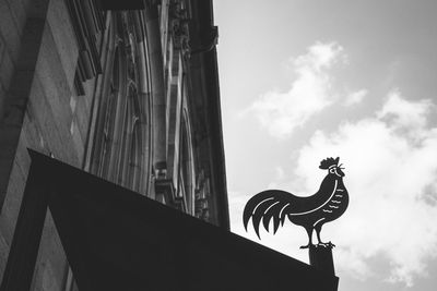 Low angle view of rooster on building against sky