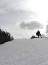 Trees on snow covered landscape against sky