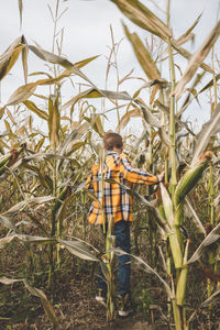 Rear view of boy standing amidst plants