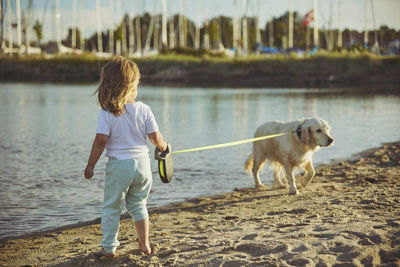 Charming child walking the dog on the beach at sunset