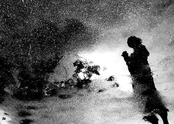 Reflection of trees in puddle