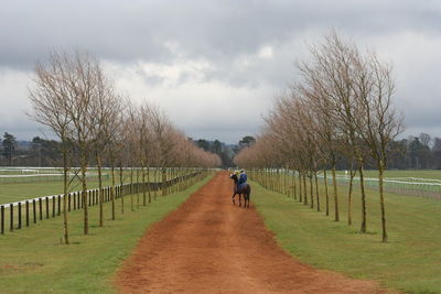 Person horseback riding on field against sky