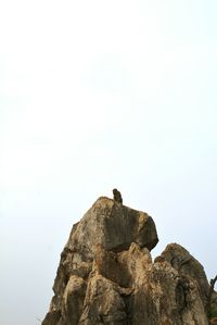 Low angle view of rocks on cliff against clear sky