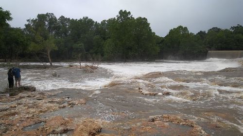 Scenic view of river amidst trees against sky