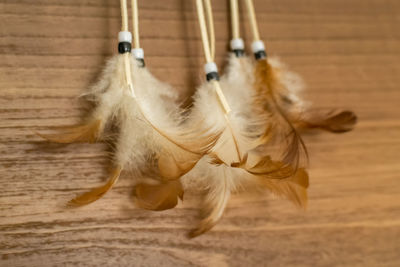 High angle view of feather on hardwood floor