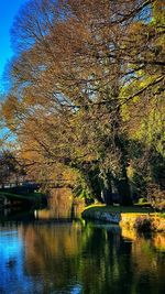 Scenic view of lake by trees during autumn