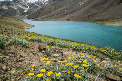 Scenic view of lake and mountains